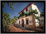 Dom, Drzewa, Walencja, Hiszpania