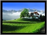 Góry, Domek, Drzewko