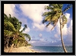 Dominikana, Punta Cana, Ocean, Piasek, Palmy