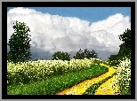 Droga, Kwiaty, Drzewa, Chmury