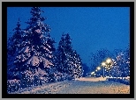 Droga, Drzewa, Latarnie, Zima