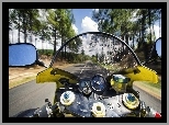 Motocykl, Droga, Drzewa