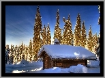 Dom, Drzewa, Zima