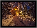 Domek, Drzewa, Zima