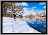 Zima, Drzewa, Rzeka, Emajogi River, Prowincja Tartu, Estonia