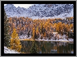Góry, Jezioro Soubeyran, Drzewa, Ceillac, Francja