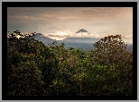Las, Drzewa, Góry, Bali, Indonezja