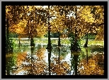Jesień, Drzewa, Moczary