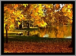 Park, Drzewa, Ławki, Liście, Staw, Słoneczna, Złota, Jesień