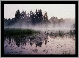 Drzewa, Jezioro