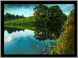 Jezioro, Drzewa, Chmury