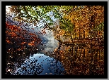Jezioro, Drzewa, Liście