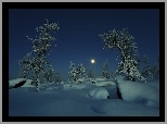 Księżyc, Drzewa, Śnieg
