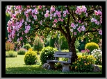 Park, Drzewa, Kwiaty, Ławka, Klomby