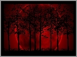 Drzewa, Czerwone, Niebo, Planeta