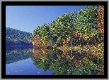 Drzewa, Lustrzane, Odbicie, Jezioro