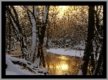 Ośnieżone, Drzewa, Rzeka