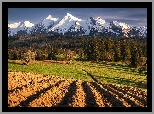 Góry, Tatry, Las, Drzewa, Pole, Polska