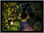 Ogród, Drzewa, Rośliny, Latarnie, Chodnik