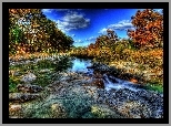 Rzeka, Drzewa, HDR