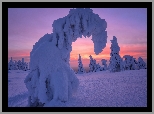 Zima, Zaśnieżone, Drzewa, Wschód słońca, Park Narodowy Riisitunturi, Gmina Posio, Finlandia