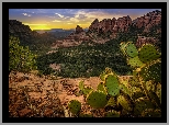 Stany Zjednoczone, Stan Arizona, Sedona, Góry, Skały, Kaktus, Drzewa