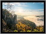 Niemcy, Park Narodowy Saskiej Szwajcarii, Góry Połabskie, Skały, Drzewa, Jesień, Mgła, Chmury, Wschód słońca