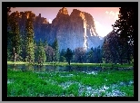 Stany Zjednoczone, Stan Kalifornia, Park Narodowy Yosemite, Łąka, Woda, Góry, Drzewa