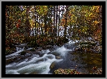 Jesień, Drzewa, Wodospad, Kaskada, Rzeka