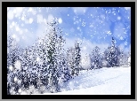 Drzewa, Śnieg, Zima, Gwiazdki