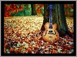 Gitara, Drzewo, Liście
