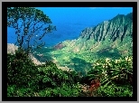 Góry, Drzewo, Jungla