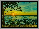 Plaża, Zachód Słońca, Drzewo, Chmury, Morze