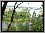 Drzewo, Rzeka