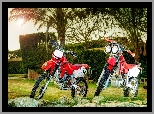Dwa, Motocykle, Honda XR, Palmy, Kamienie