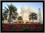 Zjednoczone Emiraty Arabskie, Meczet, Sheikh Zayed, Palmy, Kwiaty