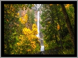 Wodospad, Multnomah Falls, Most, Drzewa, Latarnia, Jesień, Stan Oregon, Stany Zjednoczone