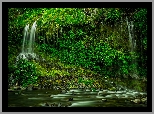 Wodospad Mossbrae Falls, Roślinność, Rzeka, Hrabstwo Siskiyou, Stan Kalifornia, Stany Zjednoczone