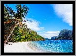 Filipiny, Plaża, Morze, Wybrzeże, Palma