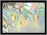 Liście, Fractalius, Grafika