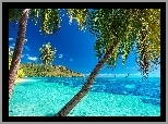 Polinezja Francuska, Wyspa Moorea, Palmy, Ocean, Jachty, Lato, Wakacje