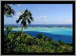 Polinezja Francuska, Bora Bora, Woda, Palmy, Zieleń