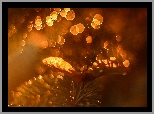 Nasionko, Gałązka, Bokeh