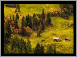 Płaskowyż, Seiser Alm, Dolina Val Gardena, Wzgórza, Łąki, Drewniane, Domy, Drzewa, Włochy
