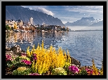 Jezioro Genewskie, Rośliny, Klomb, Góry, Krajobraz, Montreux, Szwajcaria