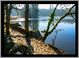 Drzewa, Ścieżka, Jezioro, Głazy