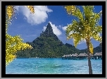 Góra, Morze, Palmy, Bora Bora