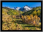 Góry, San Juan Mountains, Góra Mount Sneffels, Lasy, Drzewa, Jesień, Polana, Kolorado, Stany Zjednoczone