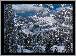 Góry, Chmury, Zima, Drzewa, Świerki, Wzgórza, Dolina, Jezioro, Hoch-Ybrig, Kanton Schwyz, Szwajcaria