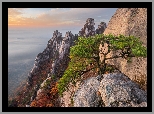 Góry, Skały, Sosna, Góra Dobongsan, Park Narodowy Bukhansan, Prowincja Gyeonggi-do, Korea Południowa